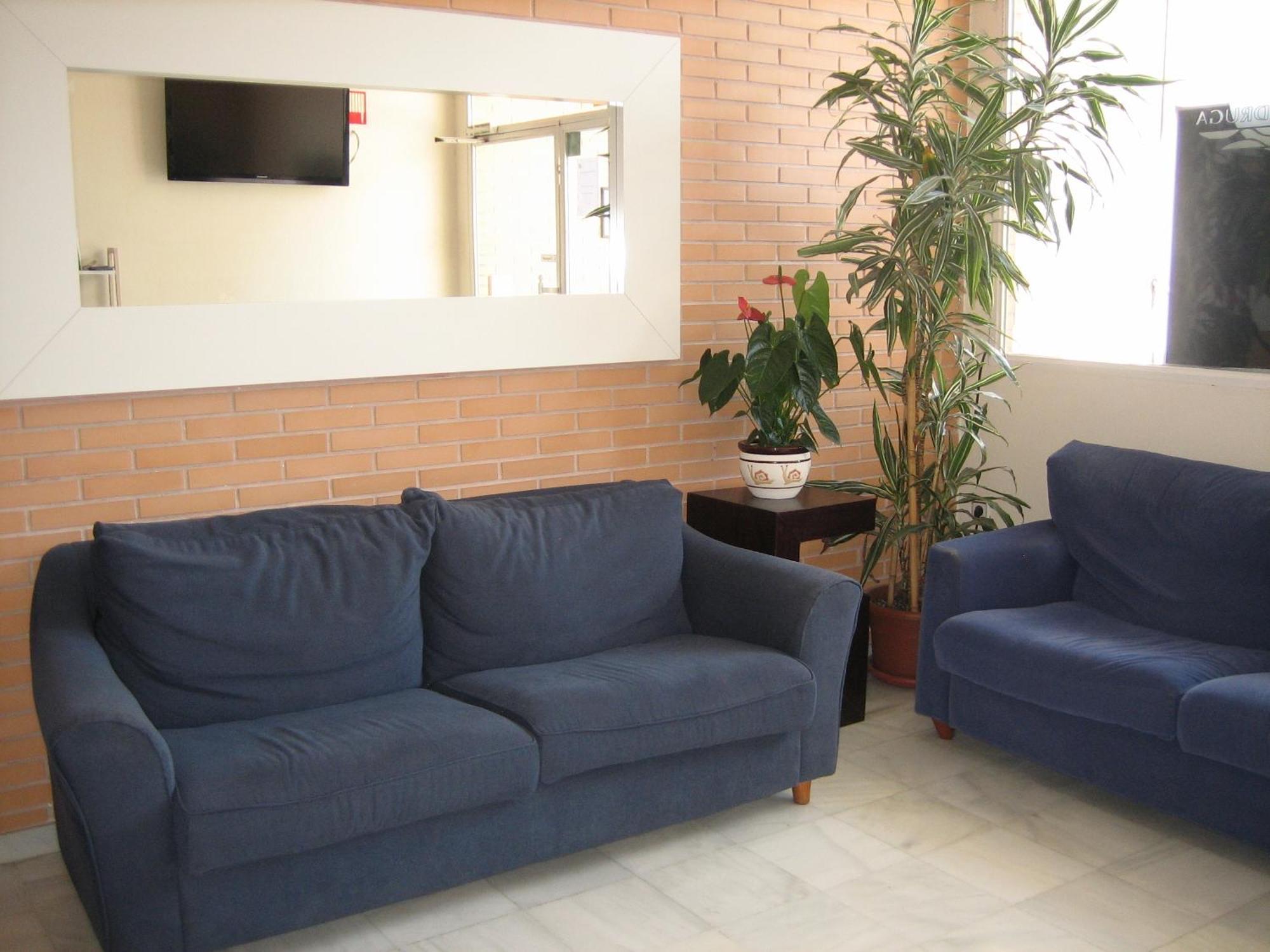 Hostal Madruga إلتشه المظهر الخارجي الصورة